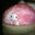 Courtney Withrow's profile image
