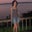 Stacey Lechner's profile image