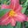 Valerie Huot's profile image