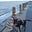 Melanie Aho's profile image