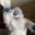 MJ C's profile image