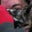 Toni DeRuiter's profile image