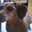 Robin Spaulding's profile image