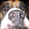 Charles Nuck's profile image
