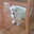 Karl Toone's profile image