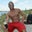 Sonan Holeyfield's profile image