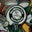 Reichert Wayne's profile image
