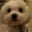 Michelle Garren's profile image