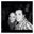 Jenny Ryan's profile image