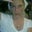 Shaz's profile image
