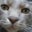 Jaye's profile image
