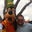 Derek D. Butler's profile image
