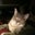 Deb Adler's profile image