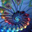 Warren Schlusler's profile image