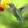 NRWO's profile image