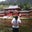 Demetrio Cardona's profile image