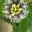 Roxana Bullington's profile image