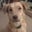 John McCloskey's profile image