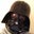 Cyrus Kirby's profile image