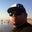 Freddie Arteaga's profile image
