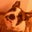 Nick Craigo's profile image