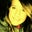 Abbie Heath's profile image