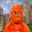 Adam B's profile image