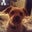 Julie Ballenger's profile image