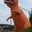 Rick Lowell's profile image