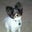 Jeff Noah's profile image