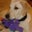 Scott Whitney's profile image