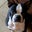 Lisa Watson's profile image