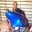 Ramon Ahrendse's profile image