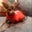 Samantha Sarnicke's profile image