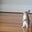 Marci B.'s profile image