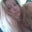 Nikki Morrison's profile image