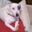 Tim Driver's profile image