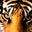 Carrie Hebert's profile image
