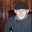 Ryan Chris's profile image