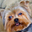 Del V's profile image