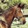 Samantha Kestner's profile image