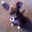 Arloue Galan's profile image