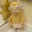Jonathan Rosales's profile image