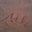 Alli Small's profile image