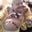 Ray Betler's profile image