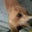 Amber Hall's profile image