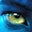 Barb Pernaris's profile image