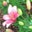 Tammy McKee McFalls's profile image