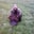 Kevin Boucher's profile image