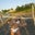denise woodrum's profile image
